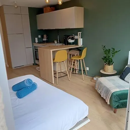 Ty Jolie Super Grand Avec Parking Et Terrasse * Rennes